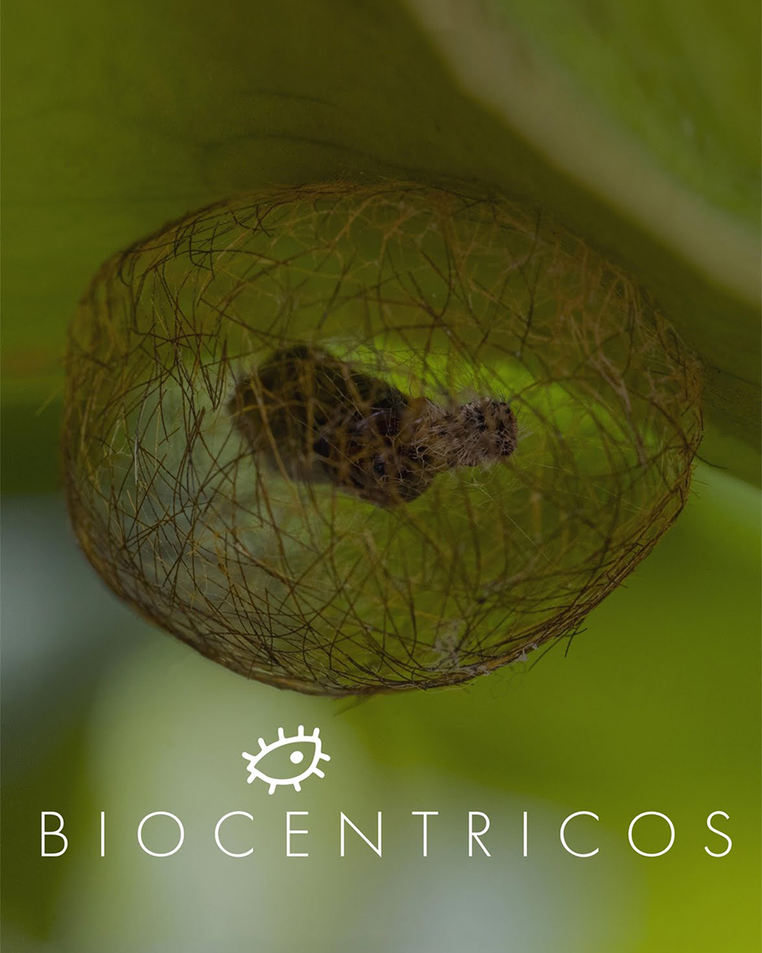 Biocentrics
