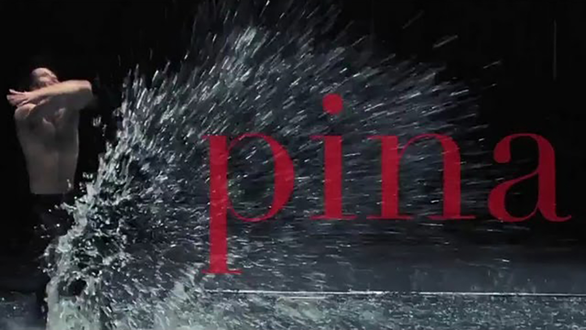 Pina &ndash; 3D