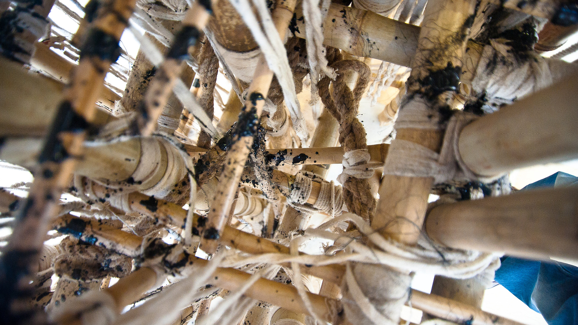 Venu, 2012, KNMA, Noida | Asim Waqif| STIR