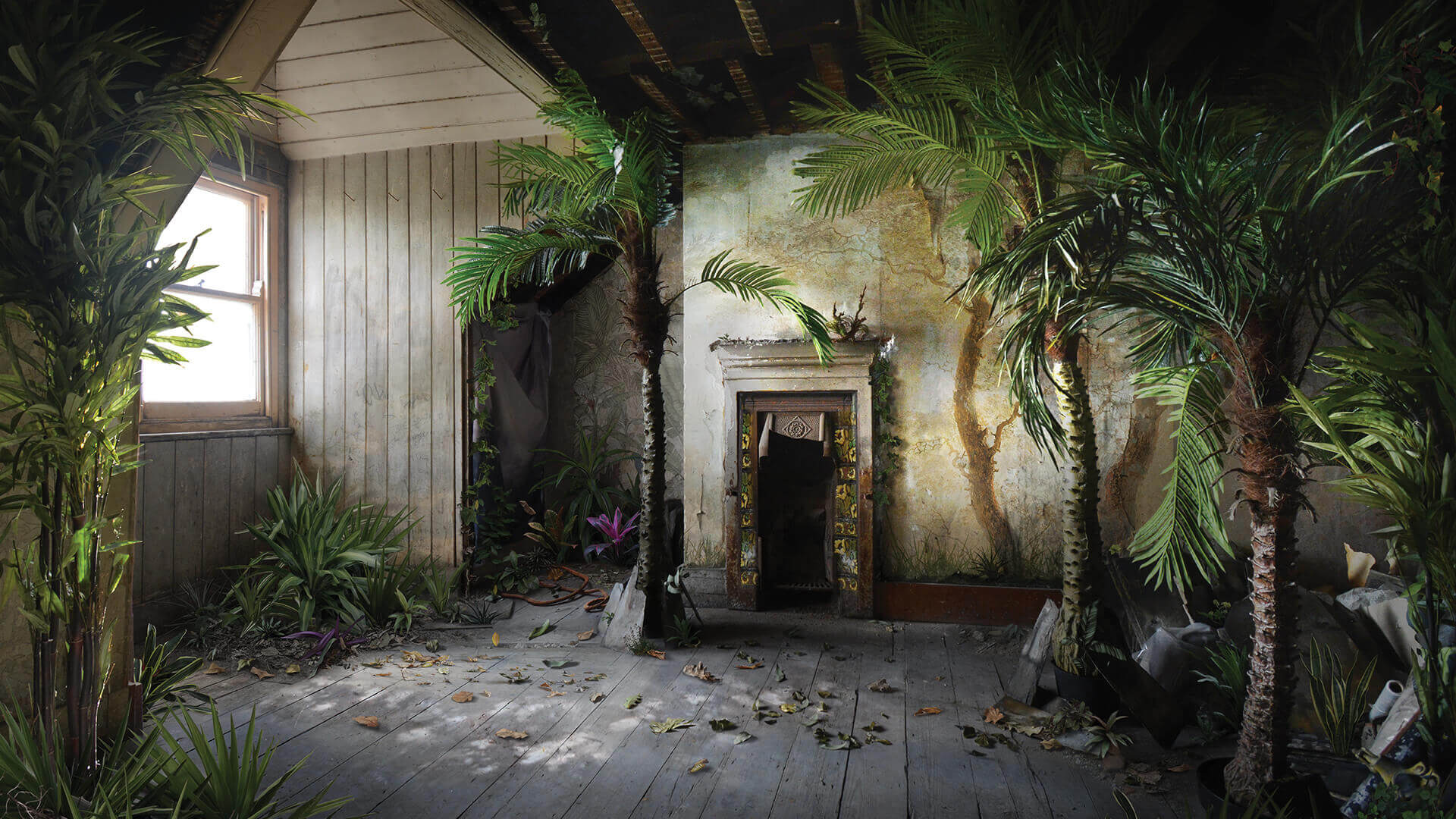 Palm | Suzanne Moxhay| STIRworld