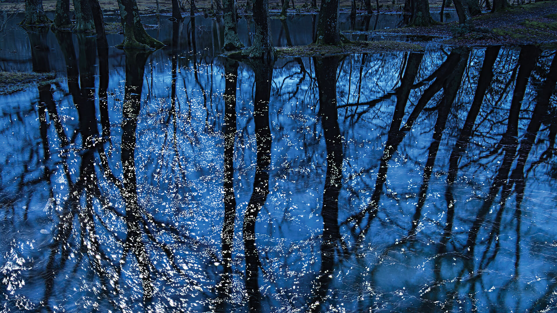 Seascapes | Ellie Davies| STIRworld