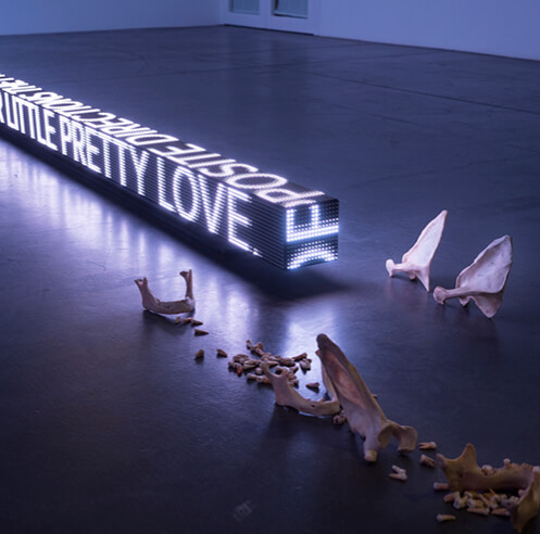 Light at the Museum