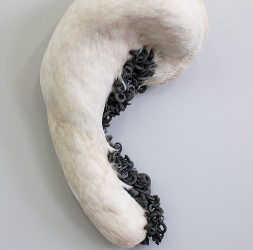 The Emotional Biennale