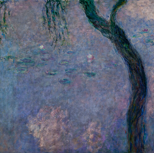 Claude Monet &ndash; The Obsession with Water Lilies, as seen in virtual reality