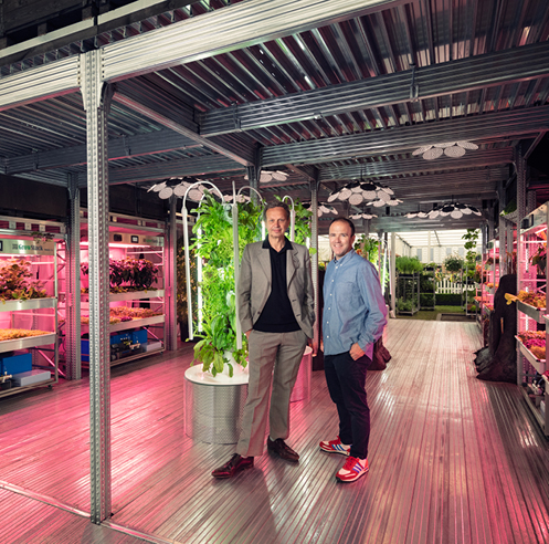Tom Dixon and IKEA explore urban gardening at the Chelsea Flower Show