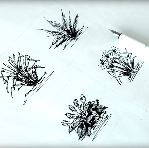 Landscape architecture &ndash; a drawing tutorial with Dan Hogman