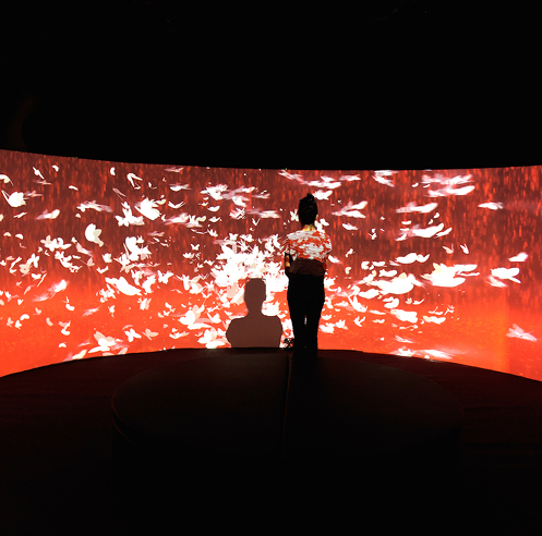 Michelle Poonawalla's experiential work on incessant media access