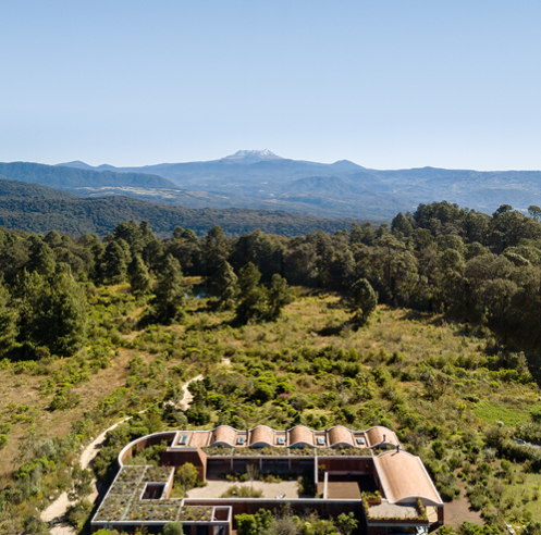 Terreno House by Fernanda Canales in Mexico provides both shelter and openness