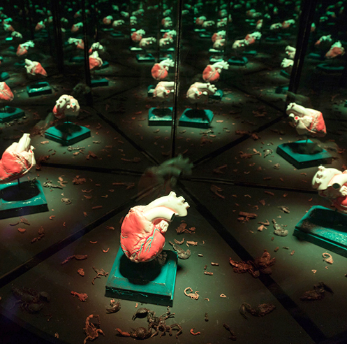 Art collective Meow Wolf reveals its large-scale exhibition plans for Washington D.C.