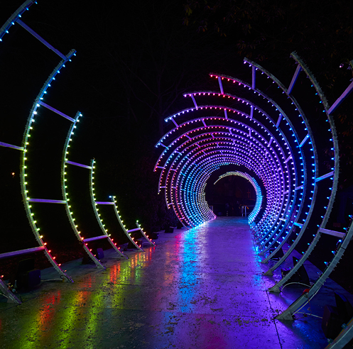 Helen Marriage on immersing Durham in light-based installations at Lumiere festival
