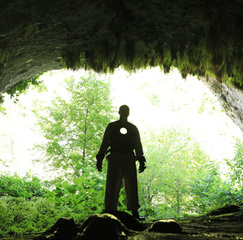 The Gaia Communication System's haptic feedback enables ecosystem attunement