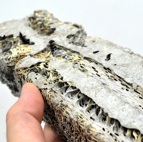 The Biomaterial Revolution: Green Charcoal by Shreyas More and Meenal Sutaria