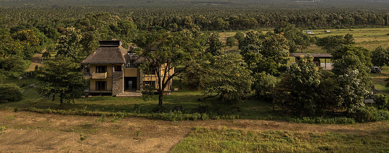 In the forests of Tamil Nadu, Ma+rs designs a creative haven topped by thatched pyramids In the forests of Tamil Nadu, Ma+rs designs a creative haven topped by thatched pyramids