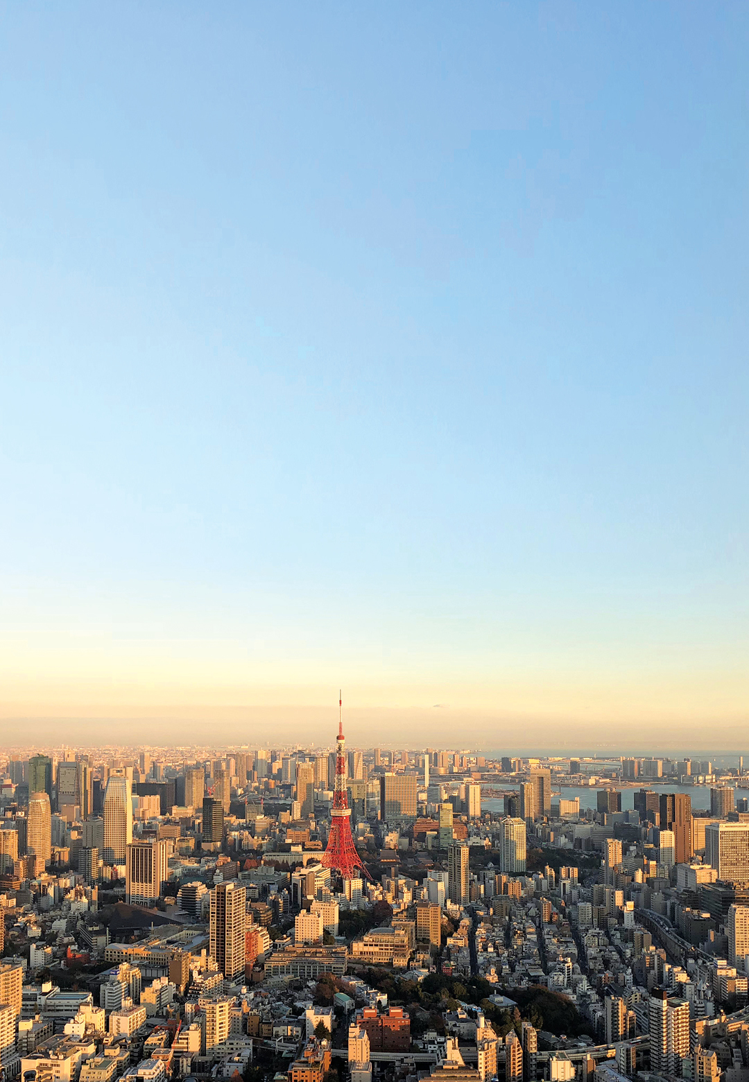 Tokyo Skyline | Dtours India | Japan | STIR