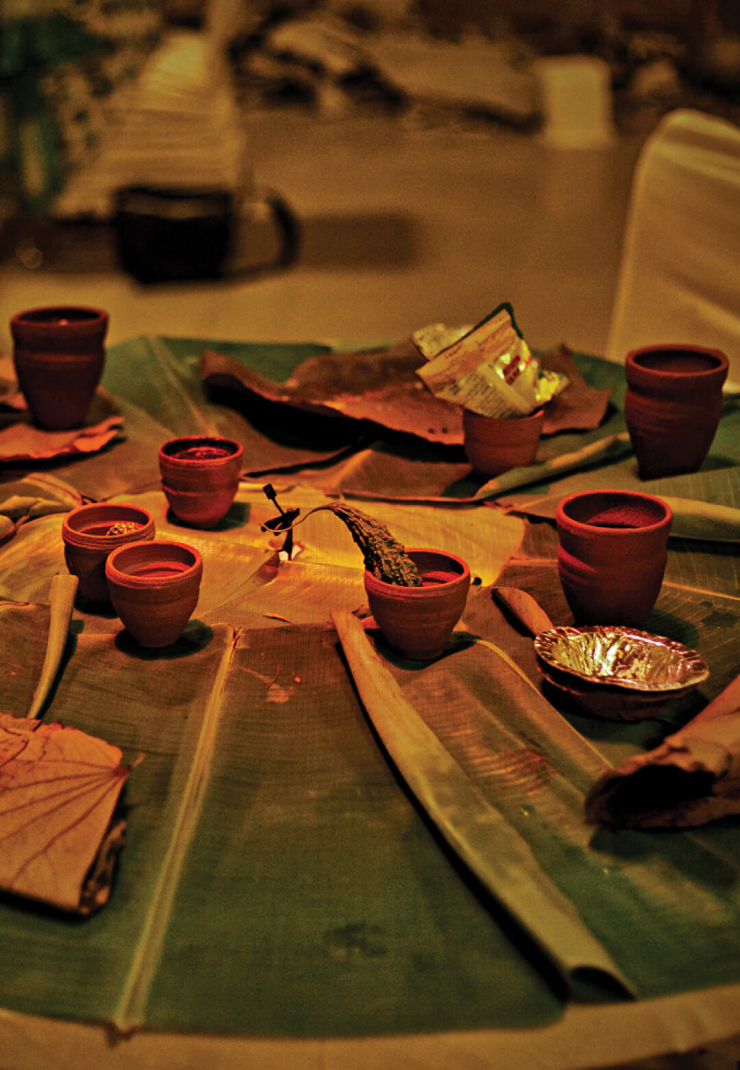 Seasoned, 2014, a multimedia and medium archive, performance and installation, Wency Mendes | Seasoned | Wency Mendes | STIRworld