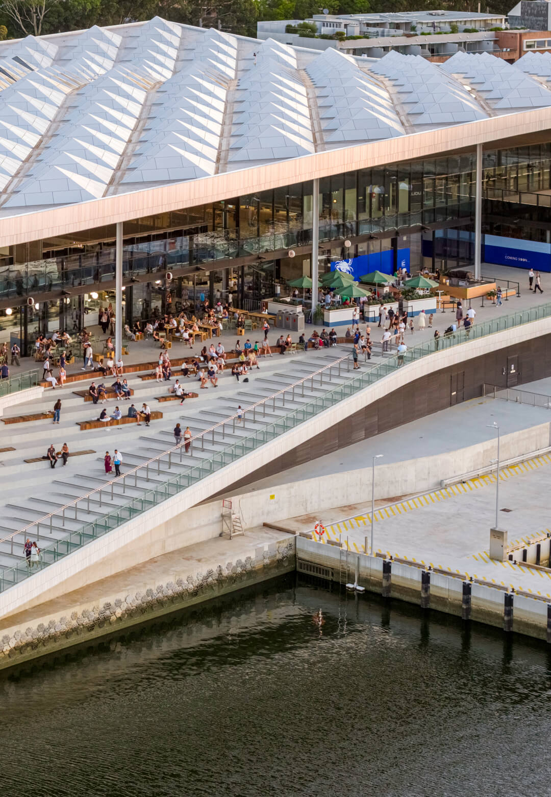 The New Sydney Fish Market stands as a community hub at NSW&rsquo;s Blackwattle Bay | Sydney Fish Market | 3XN GXN in association with BVN Architecture | STIRworld