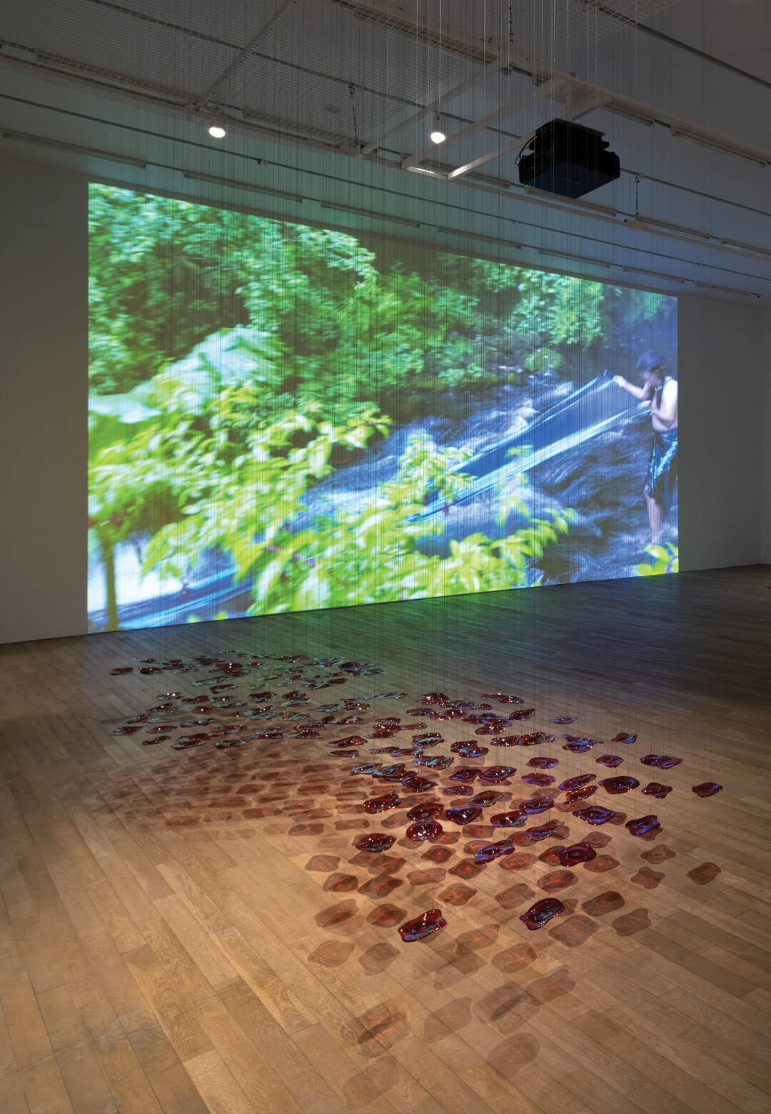 Exhibition view of ‘Green Snake: women-centred ecologies’, 2023 | Green Snake: women-centred ecologies | STIRworld