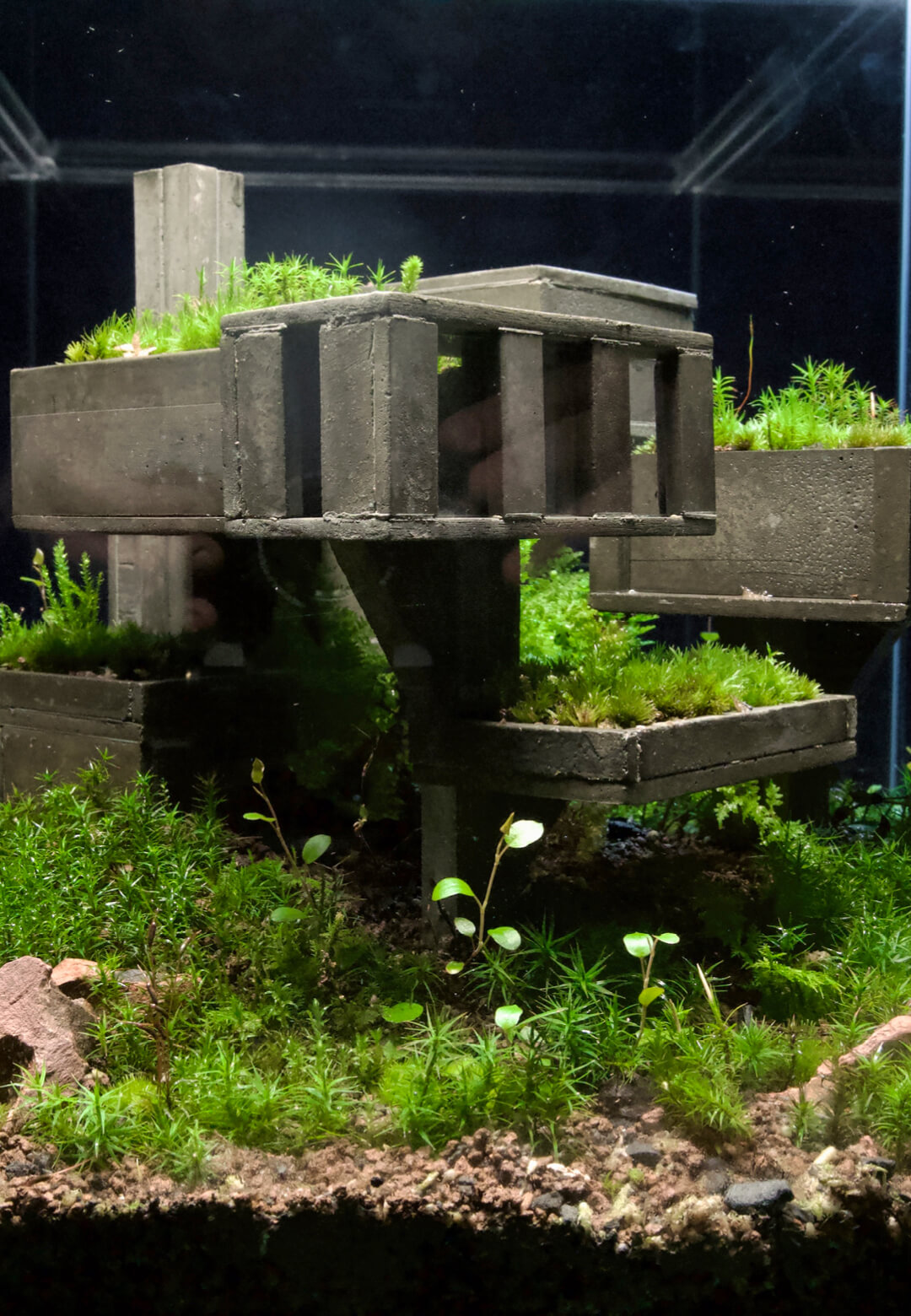 Plants trace their own paths over brutalist facades in Alessio Fava’s Mondobruto | Mondobruto | Alessio Fava | STIRworld