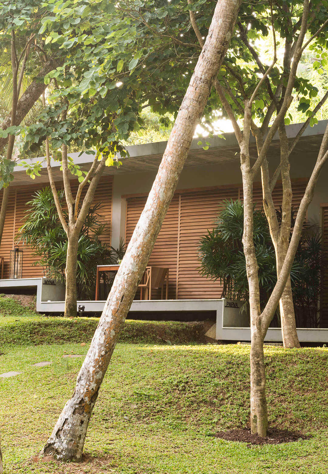 The architecture of Kurulu Bay strives to completely immerse its guests in the natural surroundings, perceiving &lsquo;enclosure&rsquo; as a choice | Kurulu Bay | A00 Architecture | STIRworld
