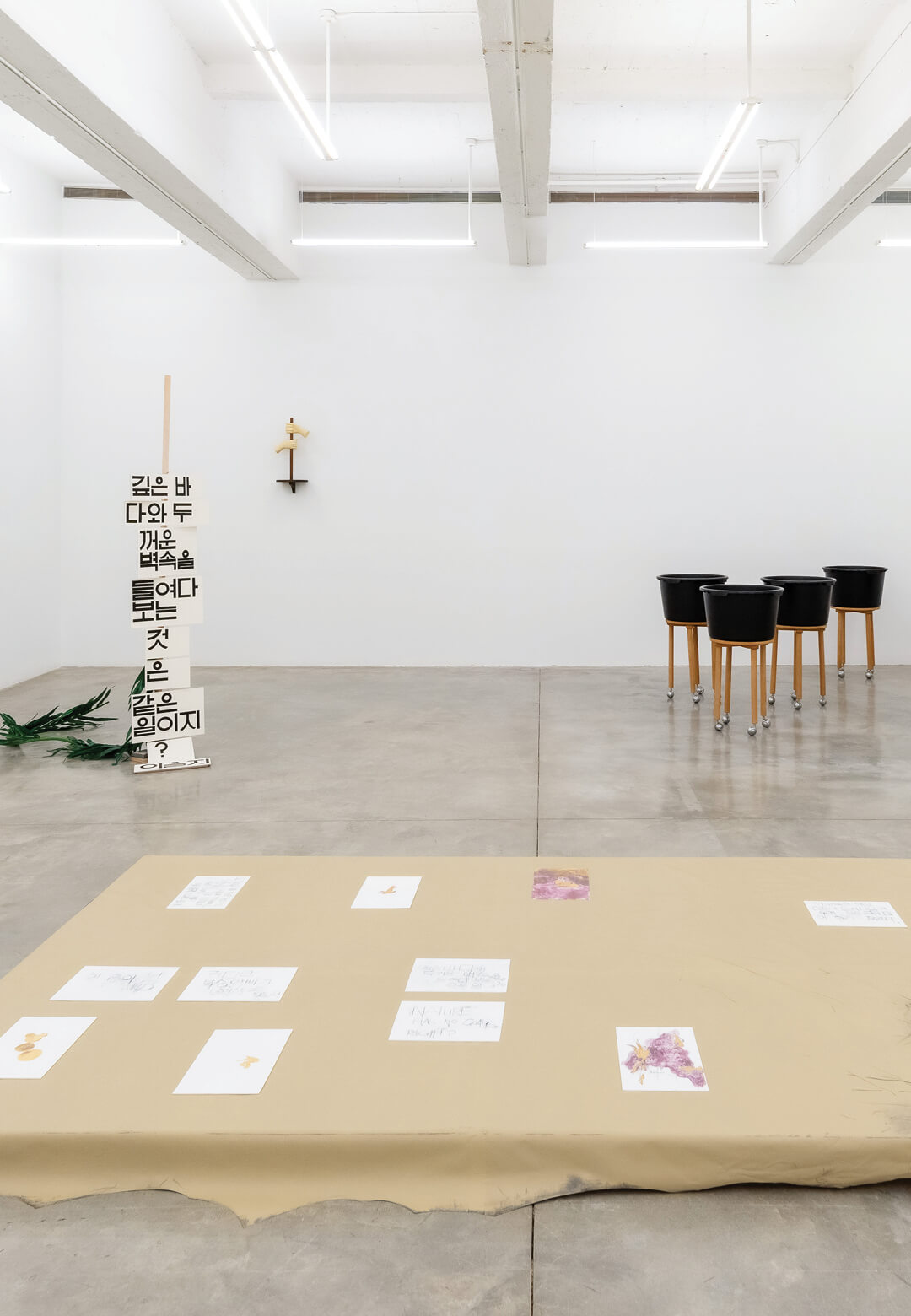 Chung Seoyoung: With no Head nor Tail, Installation view, 2024, Tina Kim Gallery, New York | With no Head nor Tail | Tina Kim Gallery | STIRworld