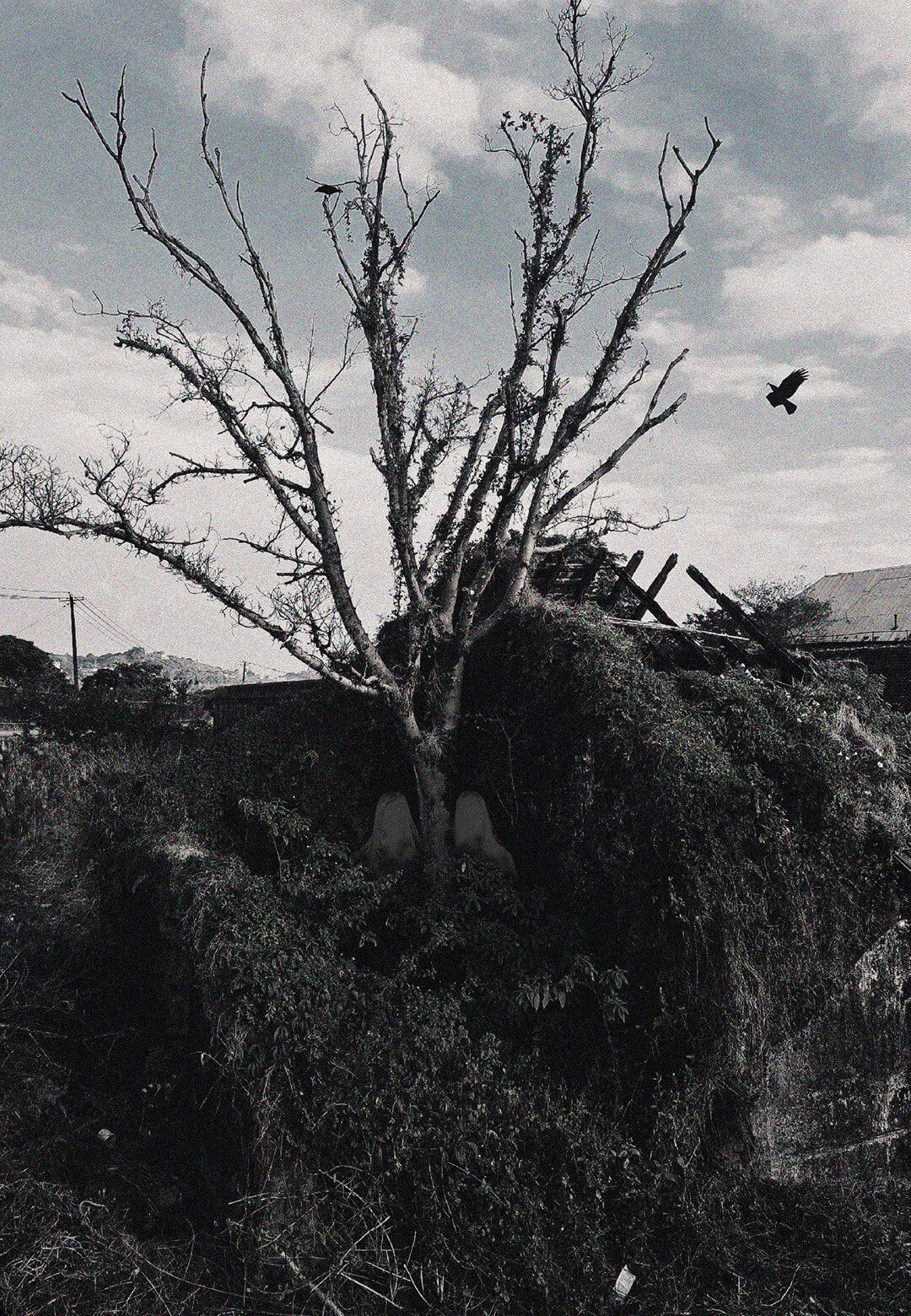 A series of photographs from the travelling exhibit &lsquo;What Remains&rsquo;, which was recently on view at the Museo Camera, Gurgaon | What Remains | Goa Open Arts Foundation and Museo Camera | STIRworld