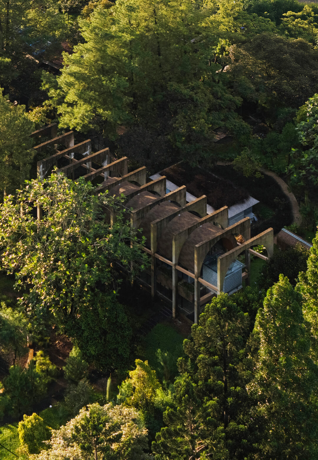 A view of the Sanctuary Tunnel Garden, where architecture meets nature in a serene embrace | Sanctuary Tunnel Garden| RAD+ar | STIRworld