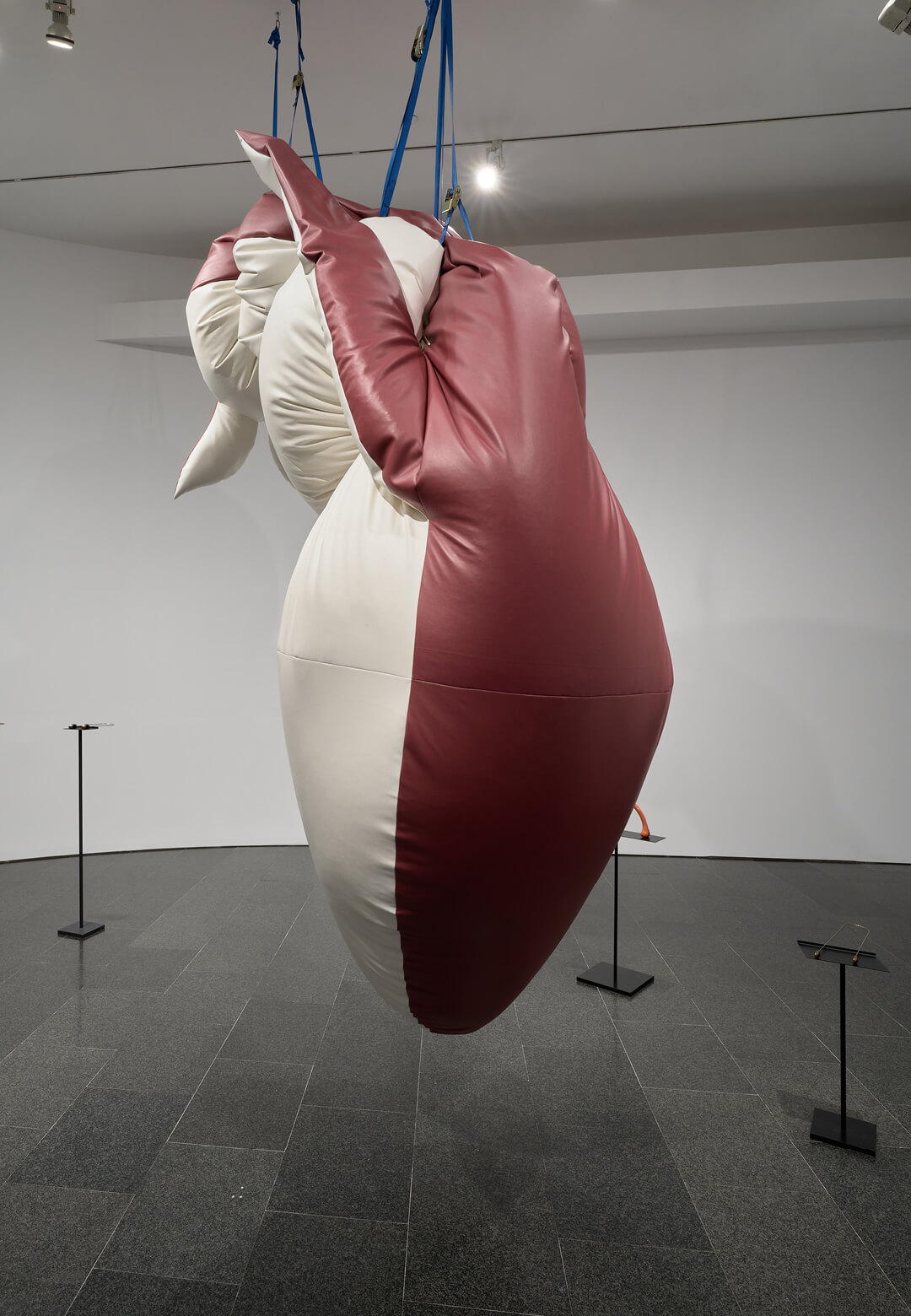 ‘Flotation Line’, 2018 | Bird Machine Dream | Teresa Solar Abboud | STIRworld