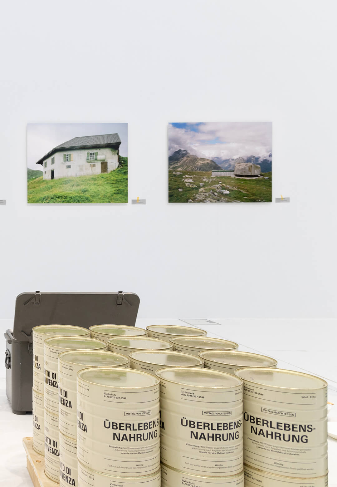 Installation view of We Will Survive | We Will Survive | mudac | STIRworld