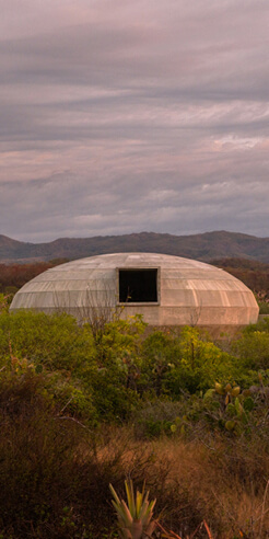 OMA&rsquo;s Mushroom Pavilion is a sanctum for community, congregation and cultivation