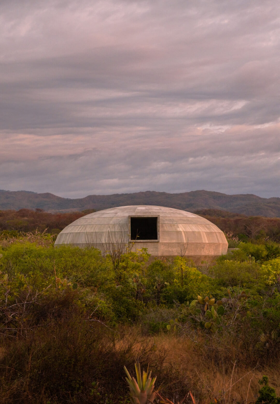 OMA&rsquo;s Mushroom Pavilion is designed as an incubator to foster the growth of mushrooms as well as local communities | Casa Wabi Mushroom Pavilion | OMA | STIRworld