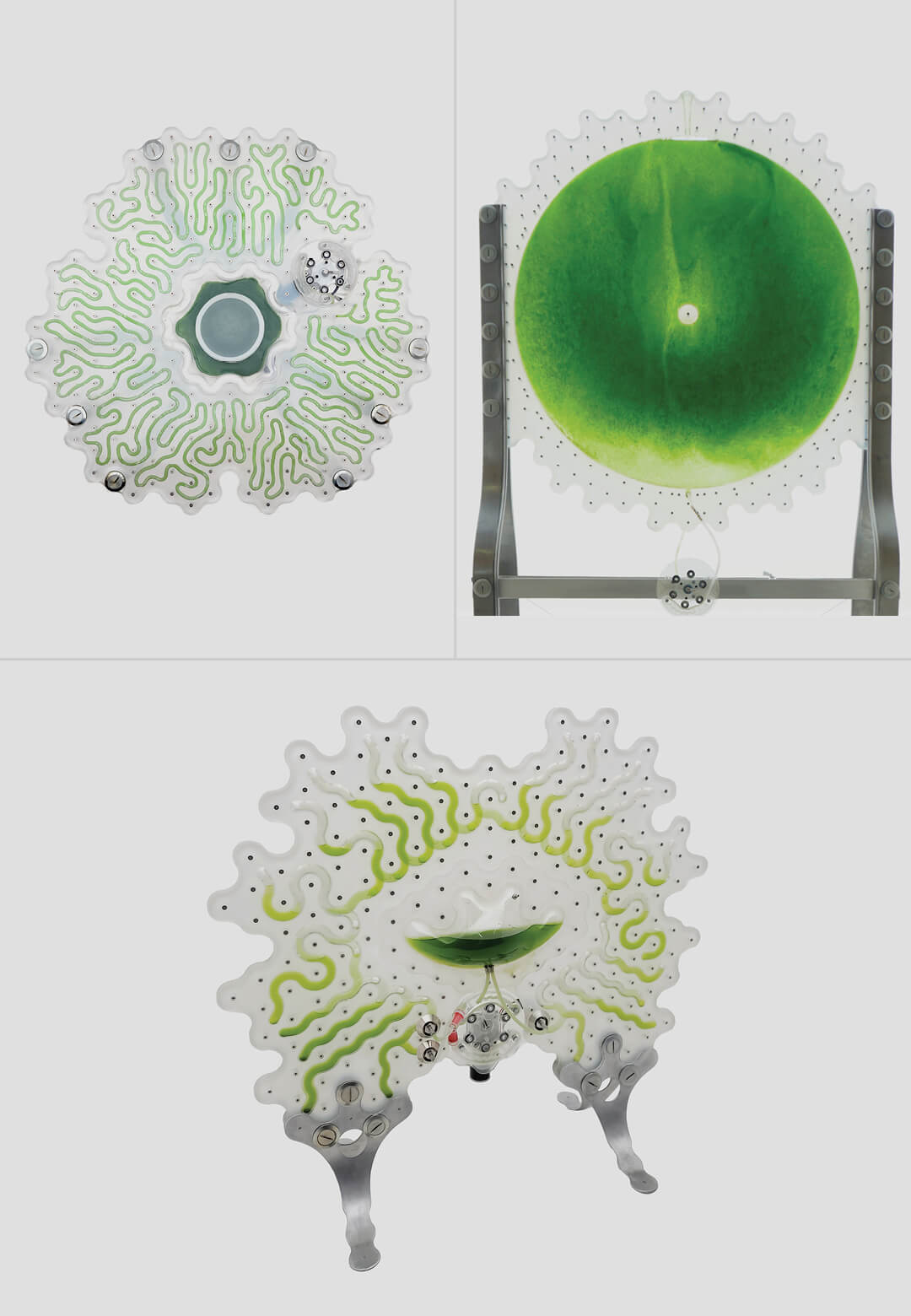 (L-R) Bioactive Table Top, Proterozoic Portal, and Symbio-Screen | Symbiocene | Peter Nasielski | STIRworld