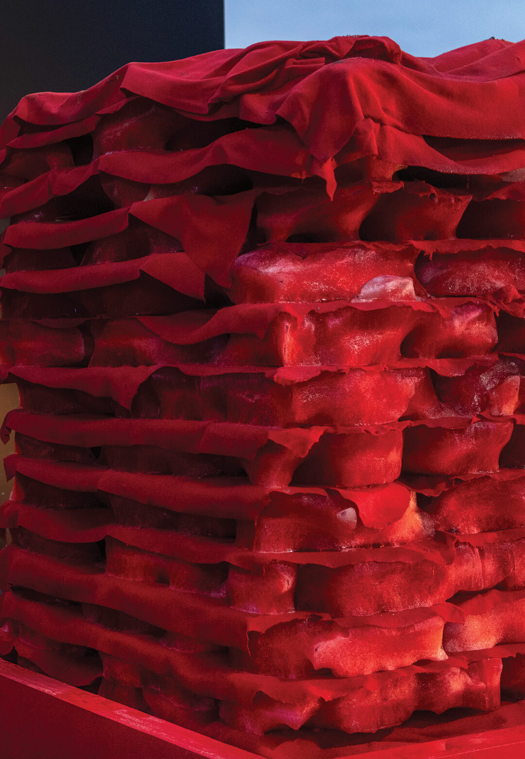 ‘Provenance’, Ice, 2024, Howareyoufeeling.studio | Provenance | India Art Fair 2024| STIRworld