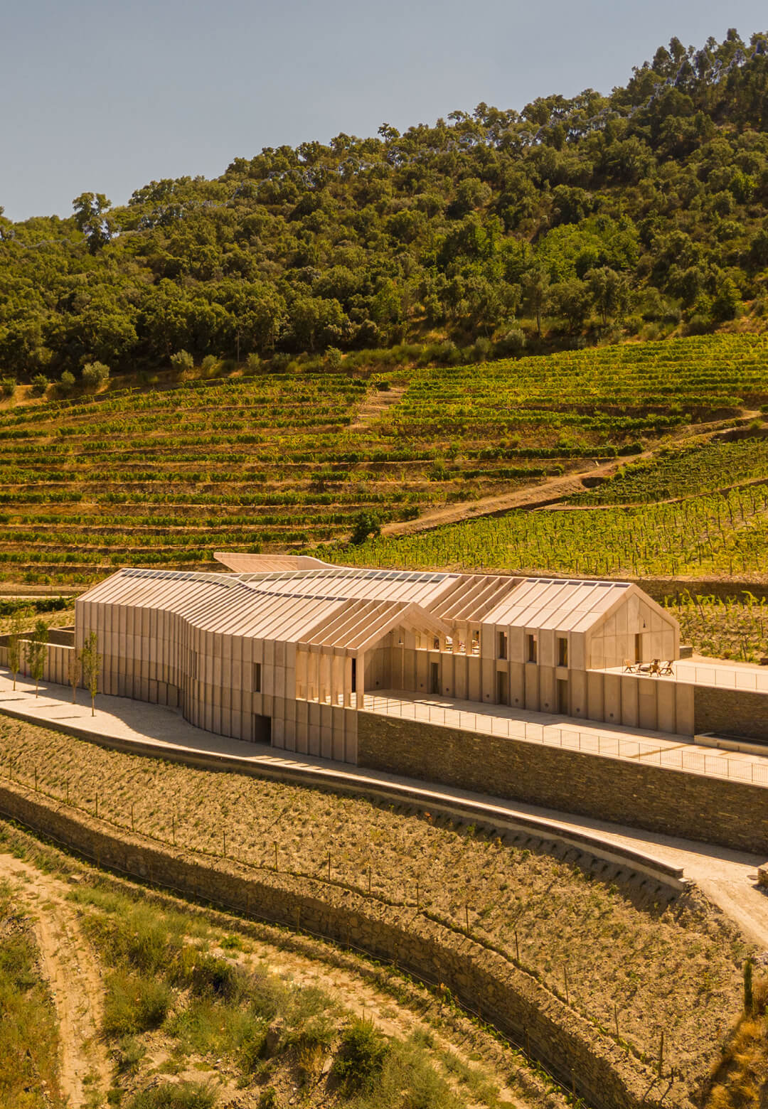 Quinta de Adorigo Winery at Alto Douro in Portugal is a wine production facility-cum-tourist destination | Quinta de Adorigo Winery | Atelier S&eacute;rgio Rebelo | STIRworld
