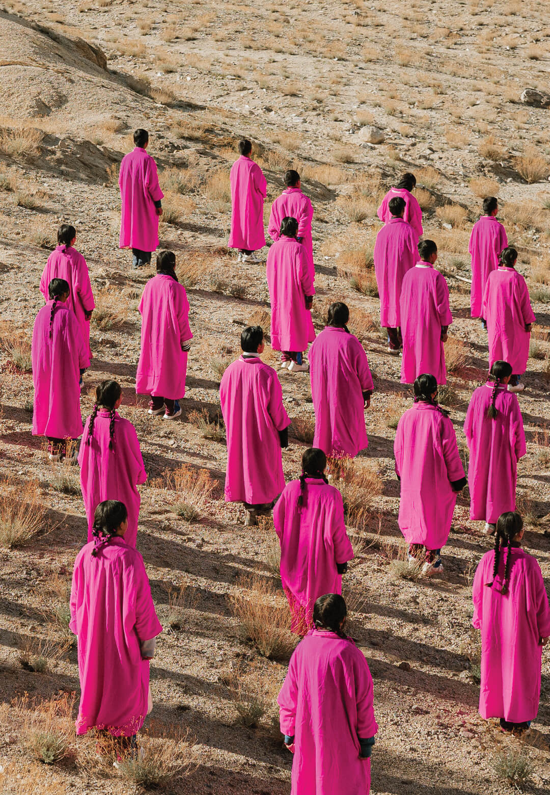 In the Pink, 2024, Doyel Joshi and Neil Ghose Balser | sā Ladakh | STIRworld