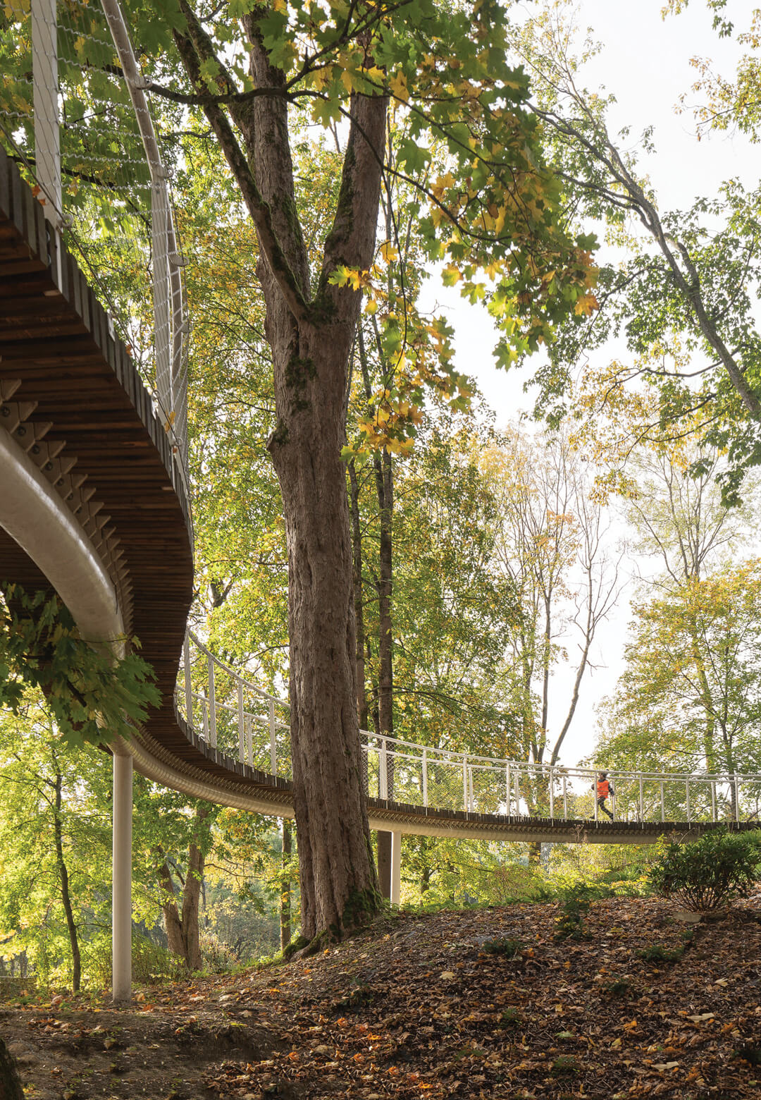 The Park of Memories takes visitors through the history of the town of Aš, Czech Republic | Park of Memories| SOA Architekti | STIRworld