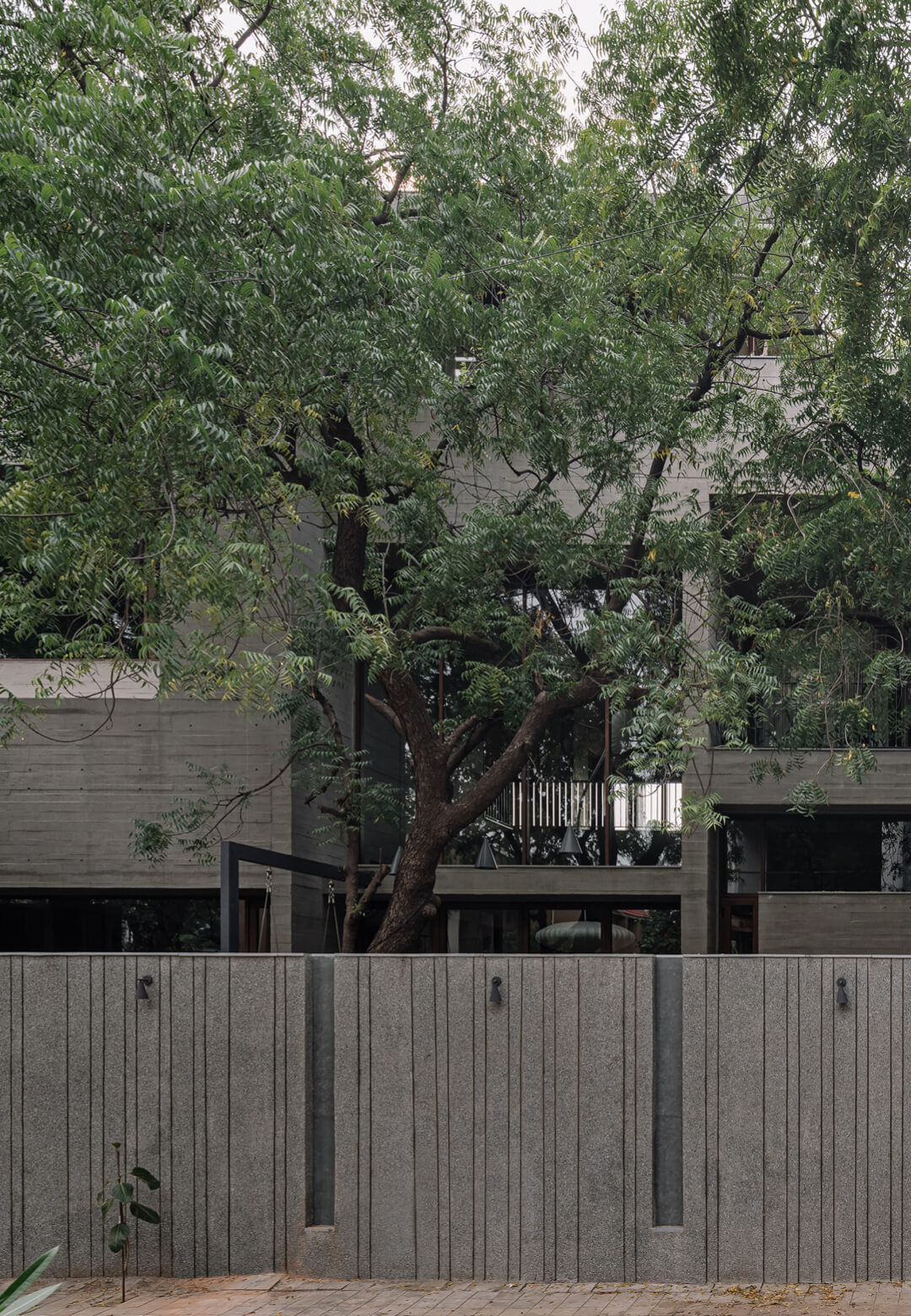 MS House by Studio Saransh is shaped around nine neem trees on site | MS House| Studio Saransh | STIRworld