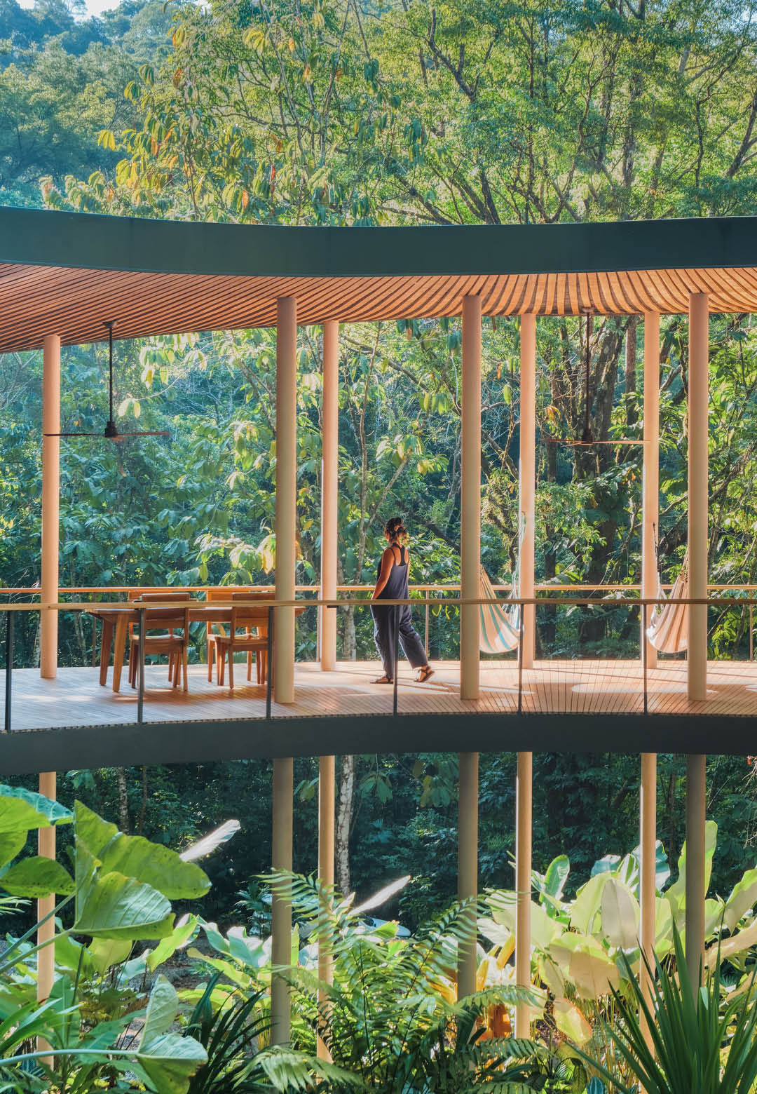 Sinfonia Verde by Studio Saxe is a jungle home for a pair of environmental researchers | Sinfonia Verde | Studio Saxe | STIRworld