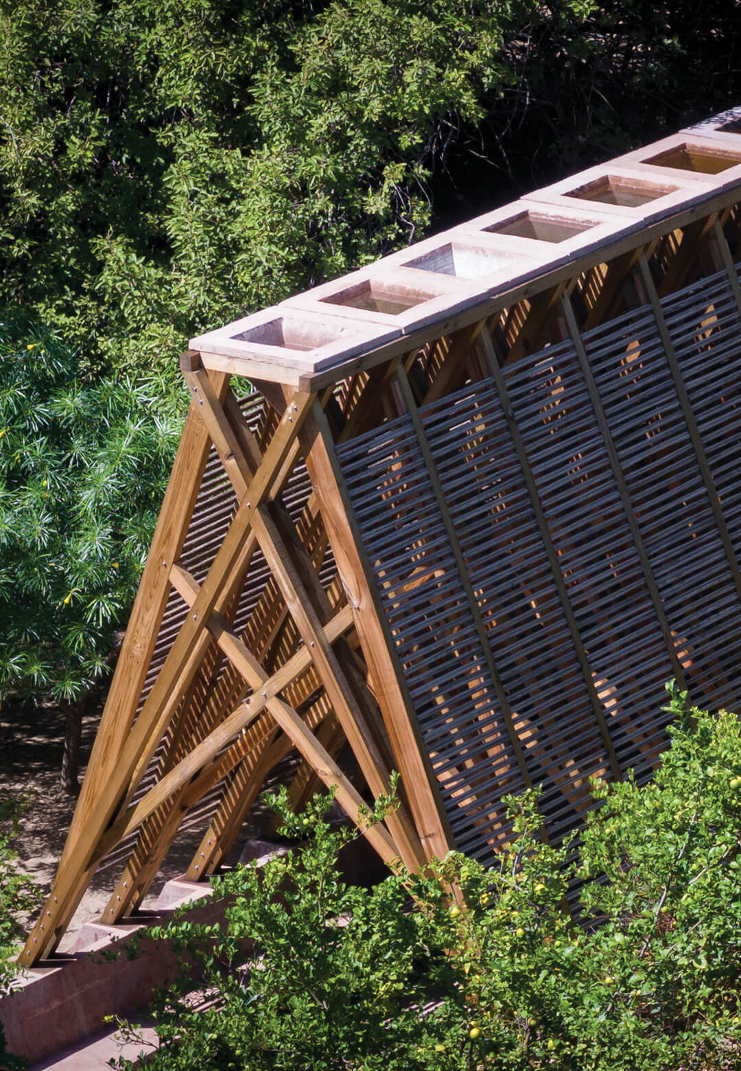 Step into a world of tranquillity, the Orchid Pavilion nestled in Oaxaca’s landscape|Orchid Pavilion| Centro de Colaboración Arquitectónica| STIRworld