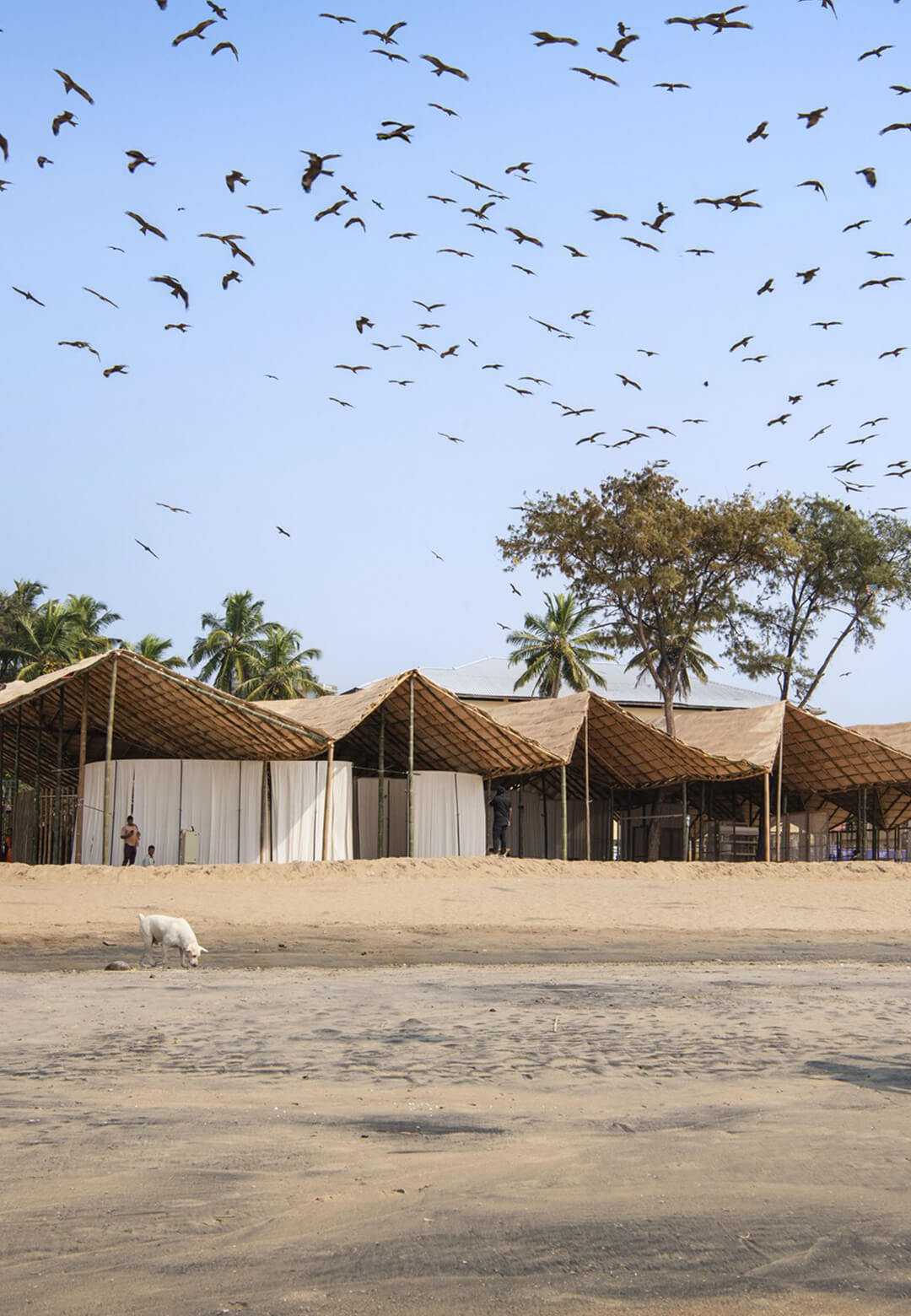 The German Pavilion stood at the shore of the Arabian Sea as an ode to the cultural ties between Germany and Kerala | The German Pavilion | The Purple Ink Studio | STIRworld