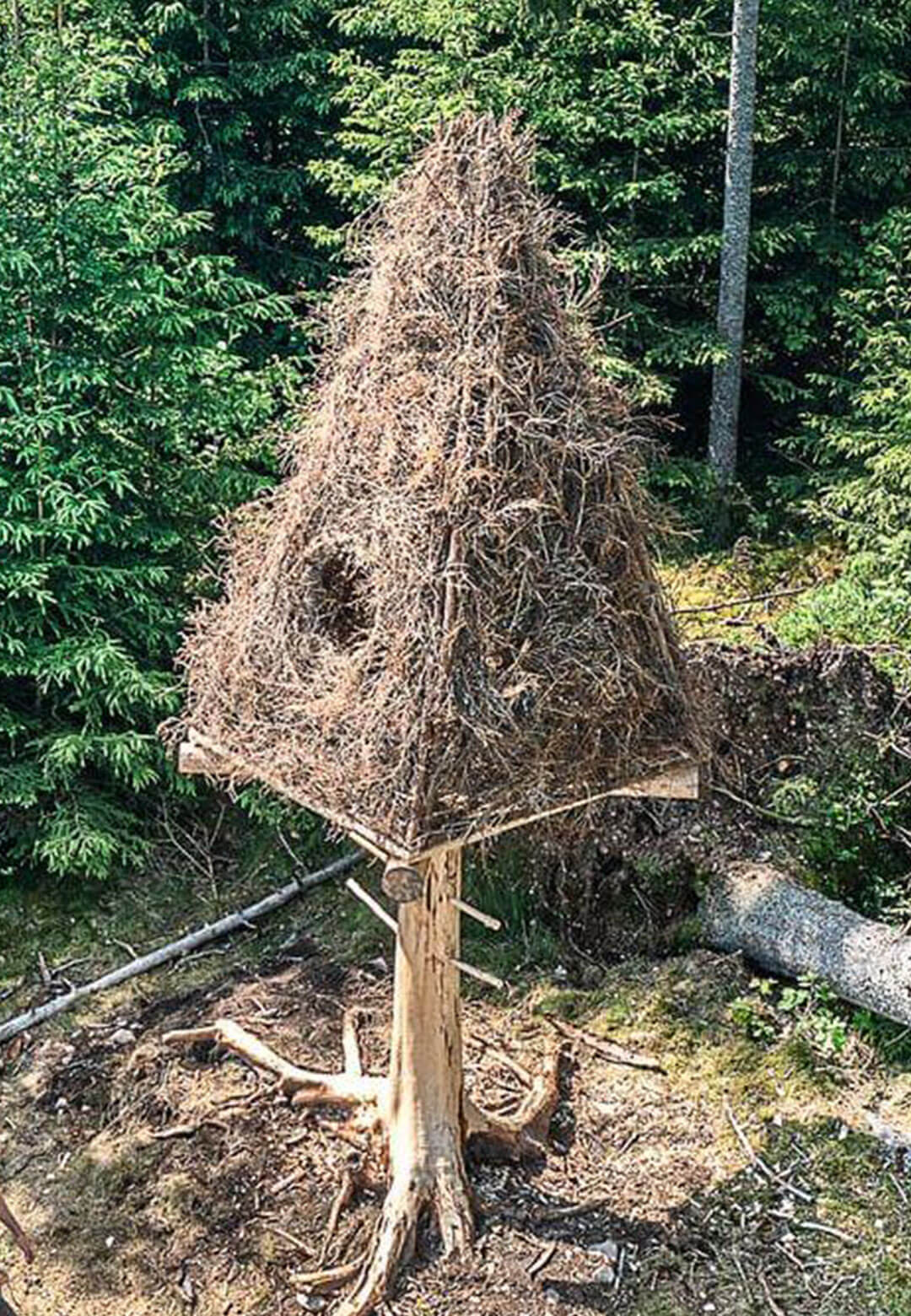Zombie Tree by Ulf Mejergren Architects | Zombie Tree | Ulf Mejergren Architects | STIRworld