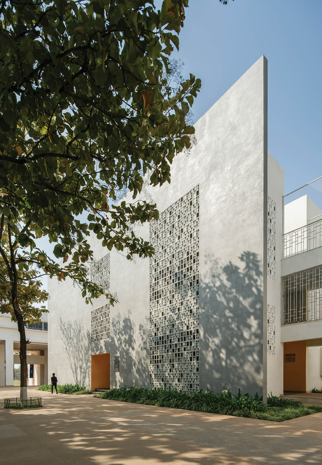 Vidyashilp Academy| Morphogenesis | STIRworld