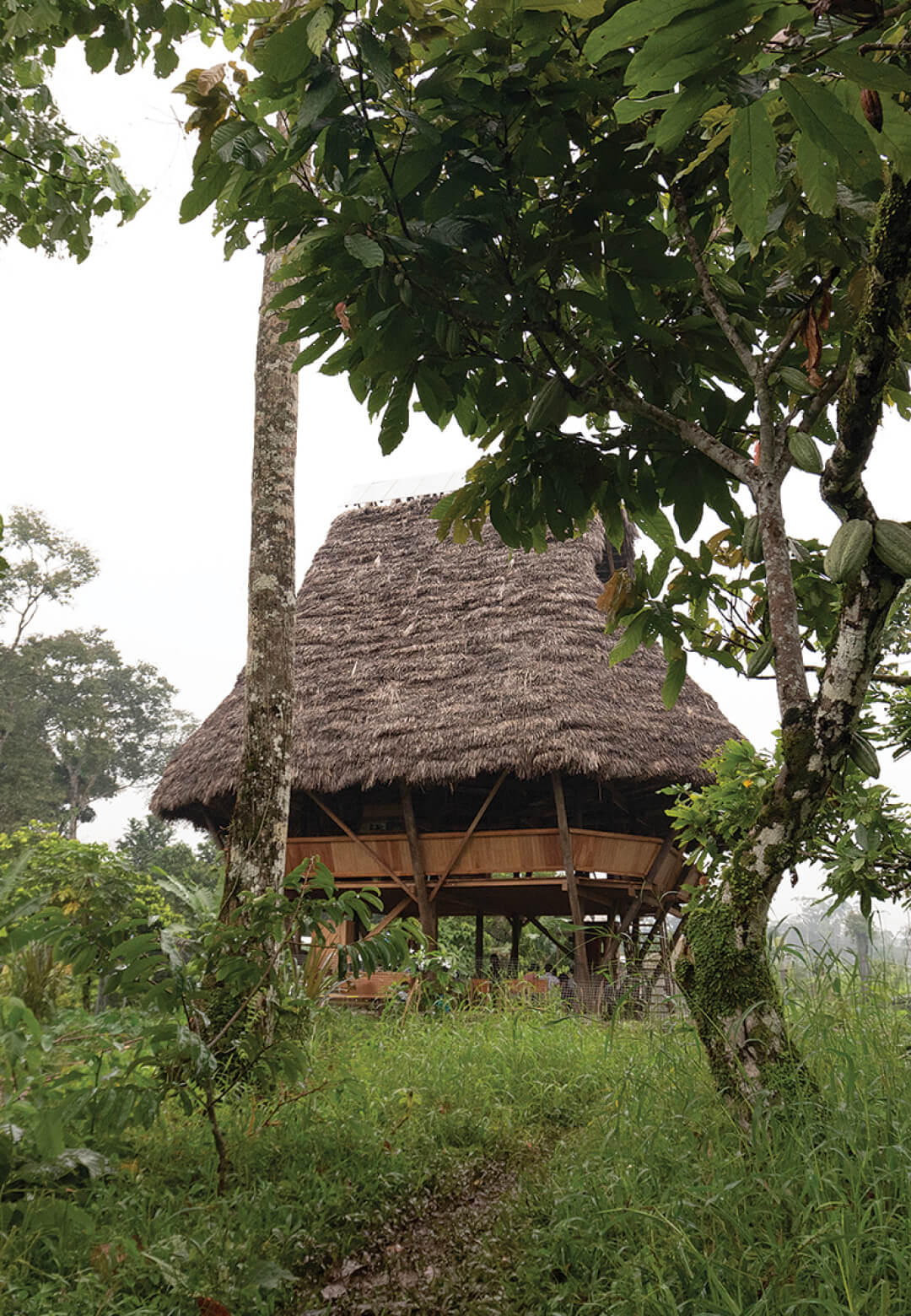 The structure nestled within the lush greenery of the tropical forest, creates a serene and inspiring setting | Yuyarina Pacha Community Library | Al Borde Architects | STIRworld