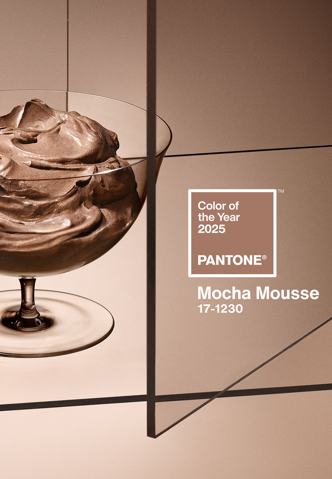 Mocha Mousse is the Pantone Colour of the Year for 2025| Mocha Mousse | Pantone | STIRworld