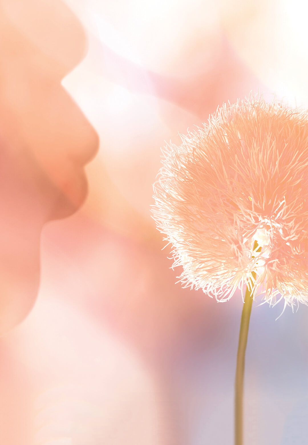 Pantone Colour of the Year 2024: Peach Fuzz | Pantone Color of the Year 2024 | Pantone | STIRworld