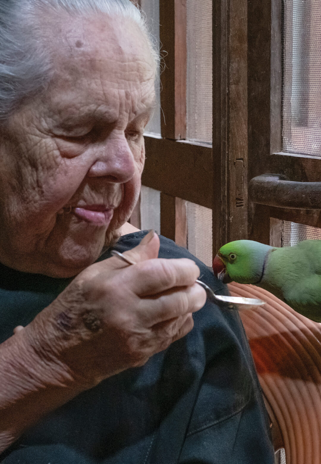 Didi at home feeding her parrot Meethu | A Call to Return | Didi Contractor | STIRworld