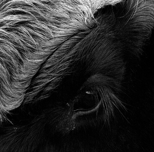 STIR reviews &lsquo;Her Name was Europa&rsquo;, a 2020 documentary film by OJOBOCA