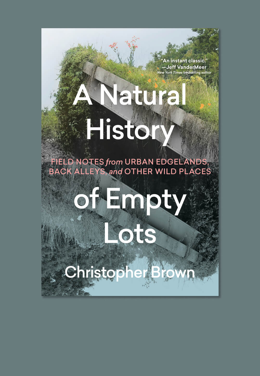 A Natural History of Empty Lots consists of field notes from urban edge lands, back alleys and other wild places | A Natural History of Empty Lots | Christopher Brown | STIRworld