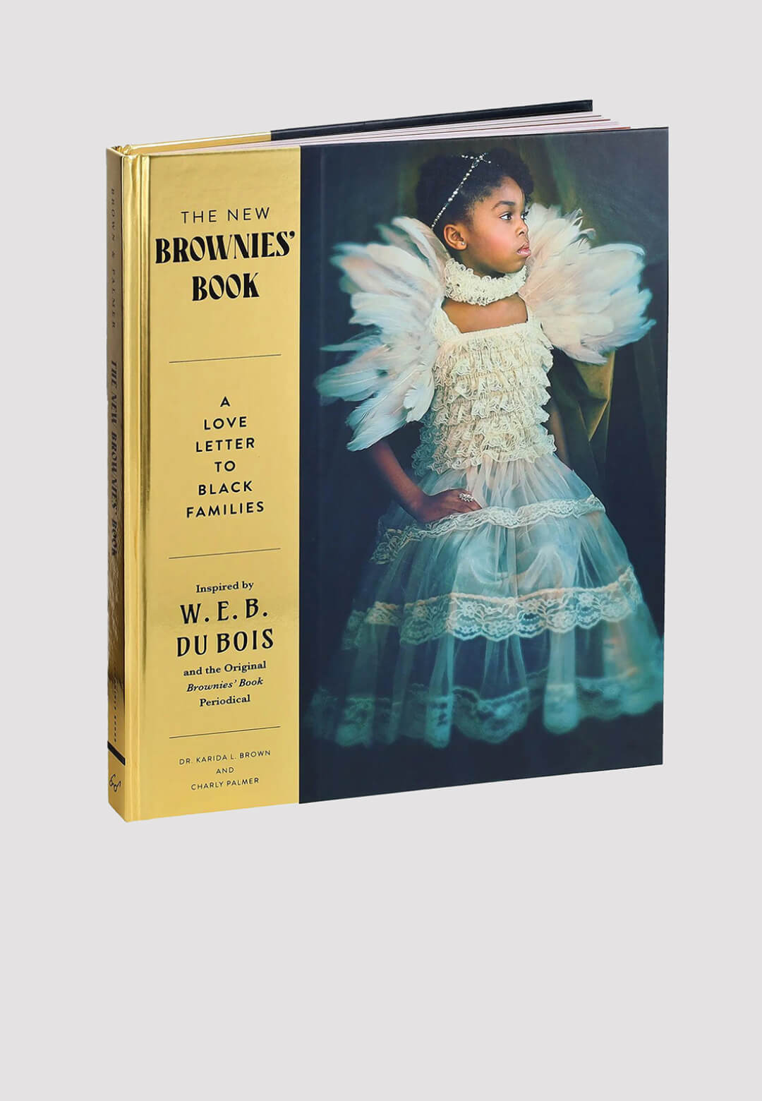 The New Brownies’ Book is intended to be a “love letter to Black families” | The New Brownies’ Book | Designer/Artist/Architect | STIRworld