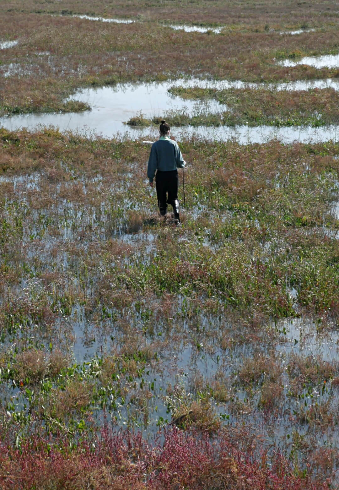 A ‘barena’ is a typical Venetian lagoon ecosystem, periodically submerged. It improves water quality, protects coasts and is increasingly endangered by climate change| Panorama Venezia | STIRworld