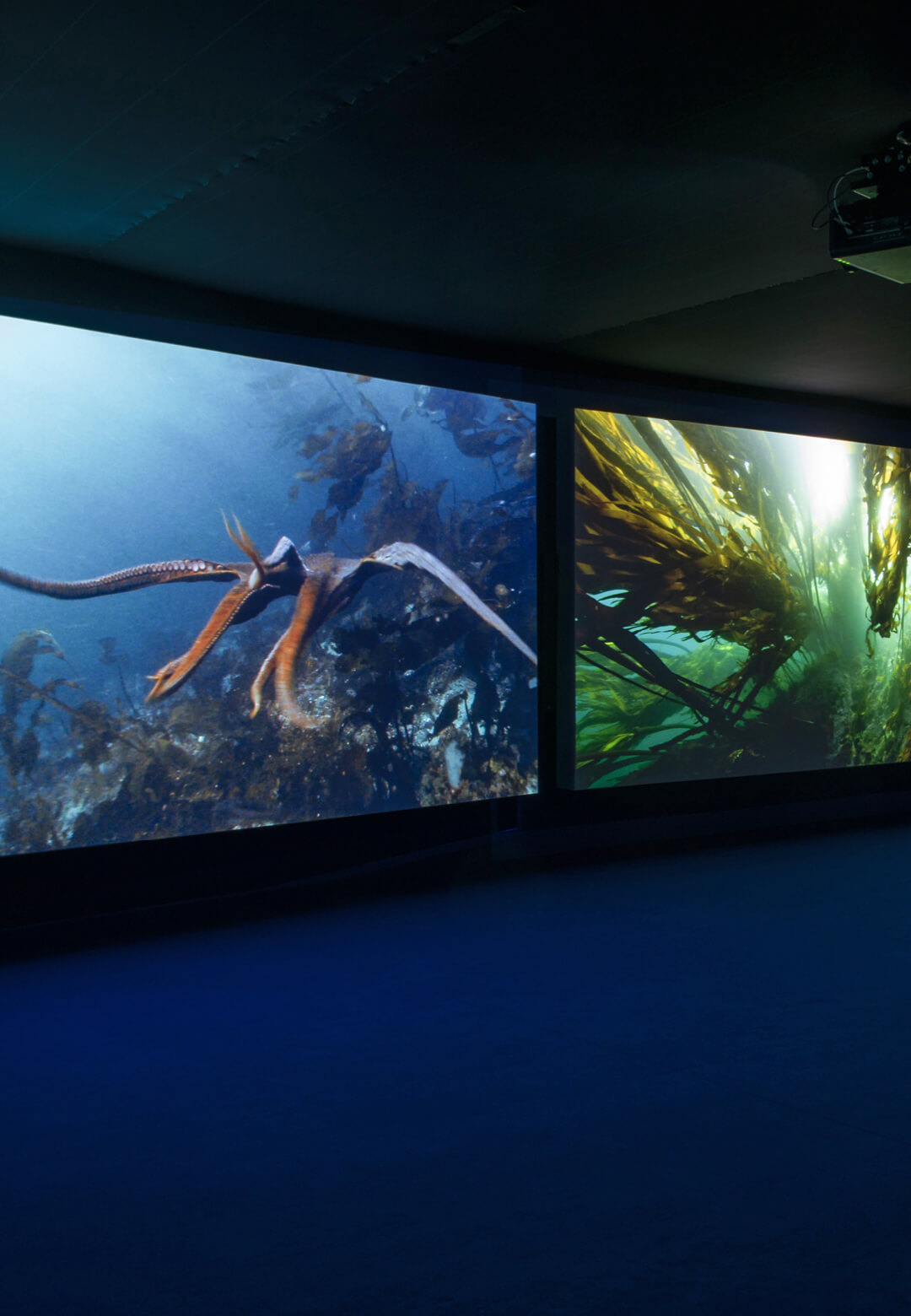 Installation view of the exhibition ‘OCEAN’, Louisiana Museum of Modern Art, 2024 | Louisiana Museum of Modern Art | STIRworld